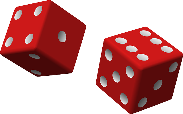 dice photo