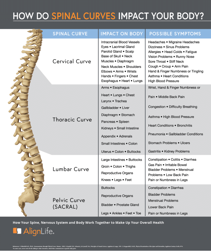 spinal curves and function