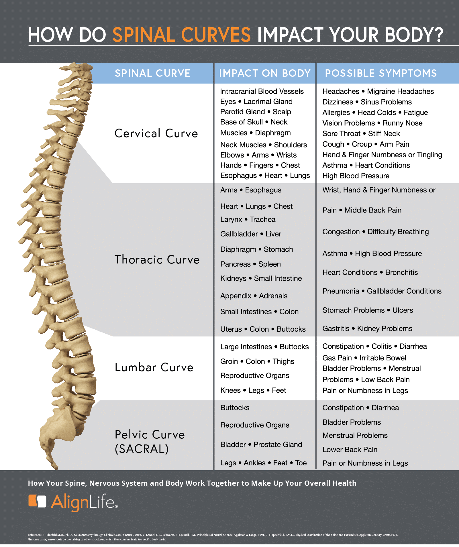 spinal curves and function