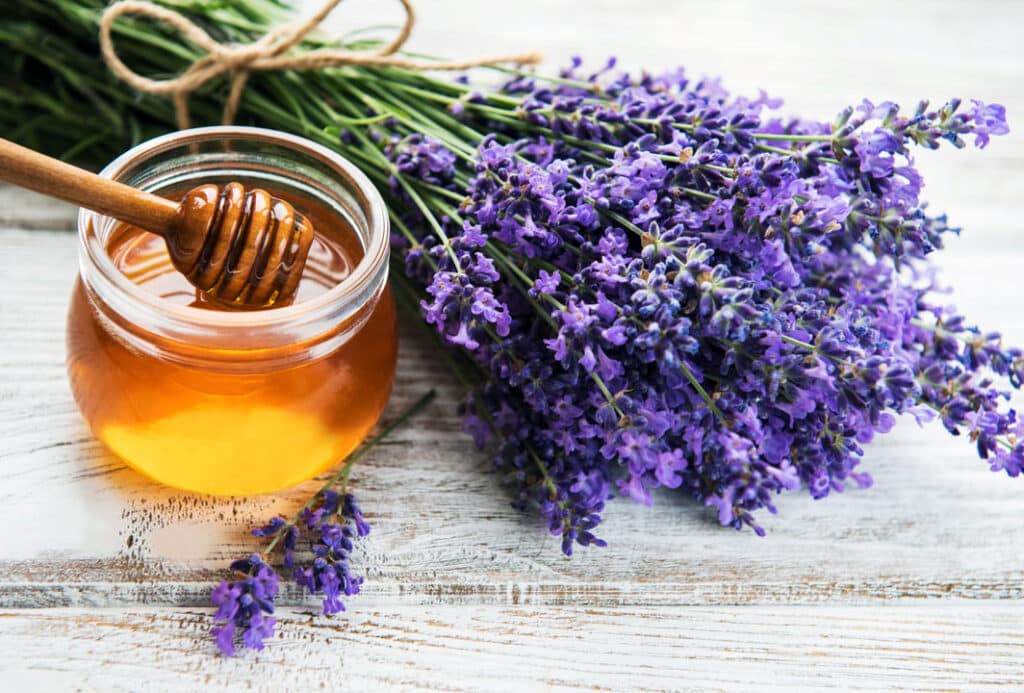 Jar with honey and fresh lavender