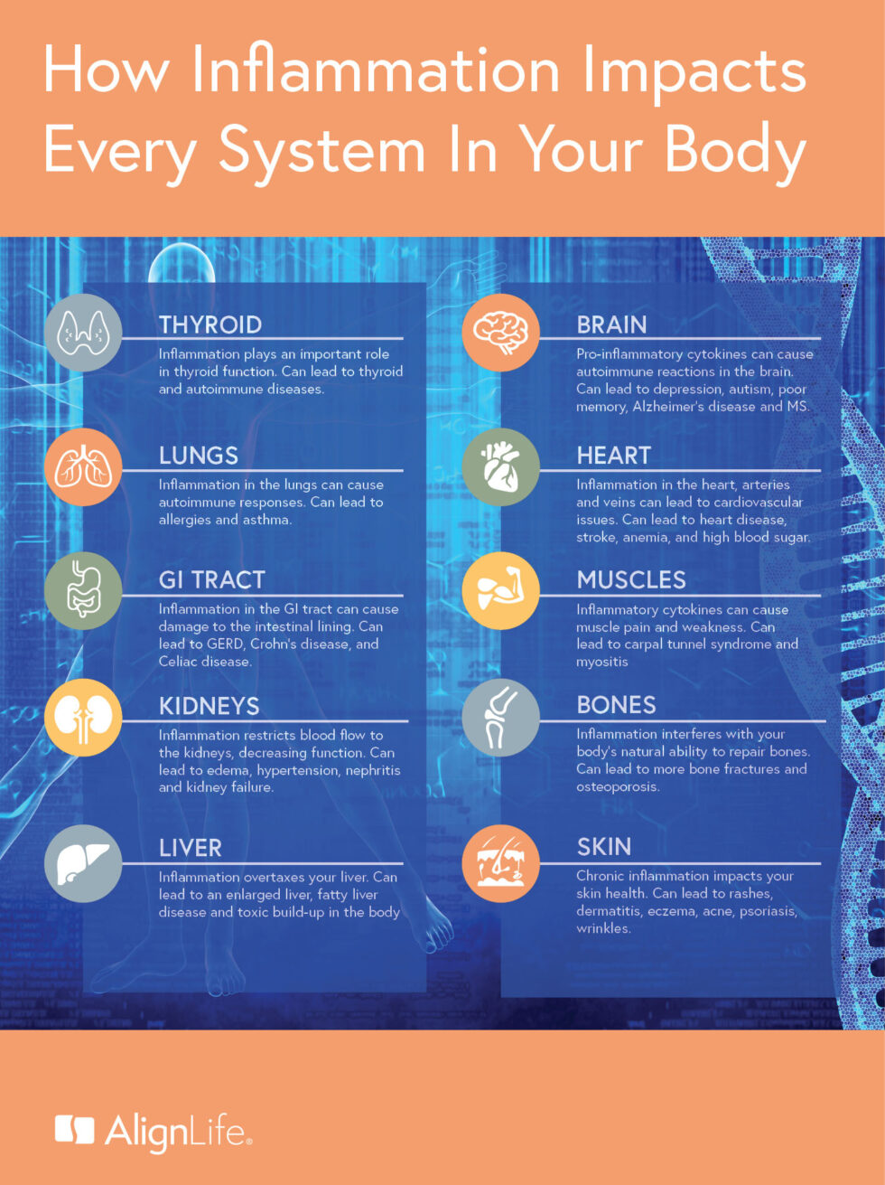 7 Ways to Quickly Reduce Inflammation in the Body