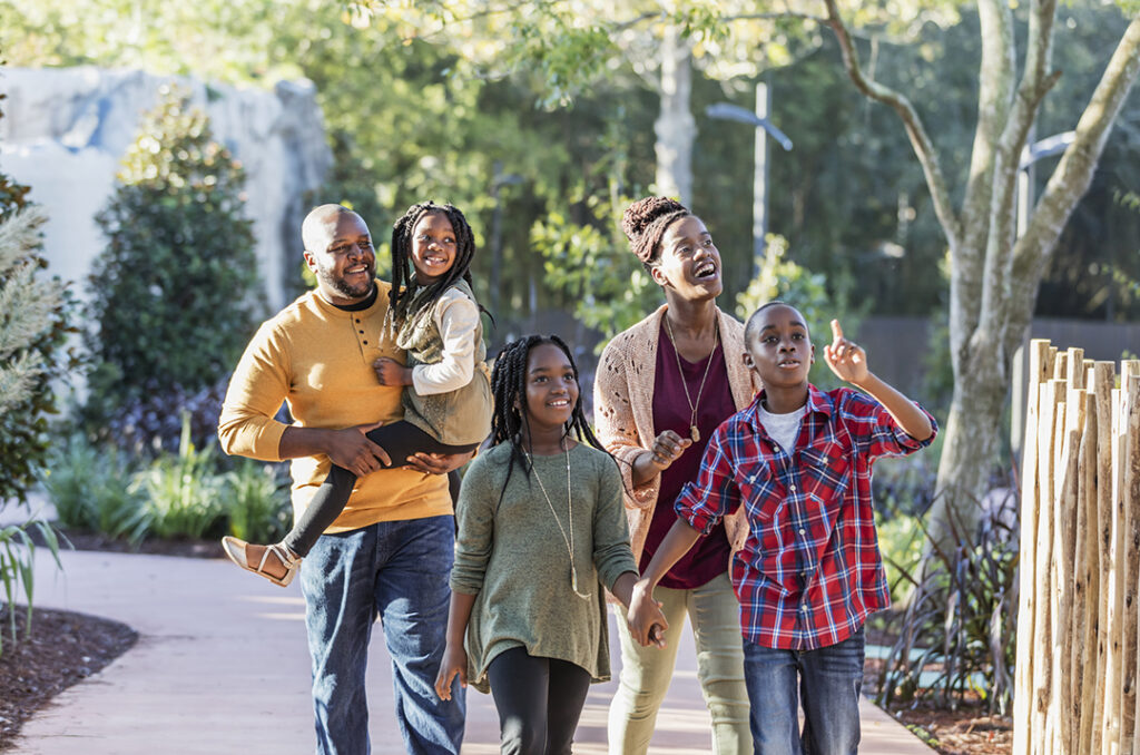 African-American family enjoying day at a park