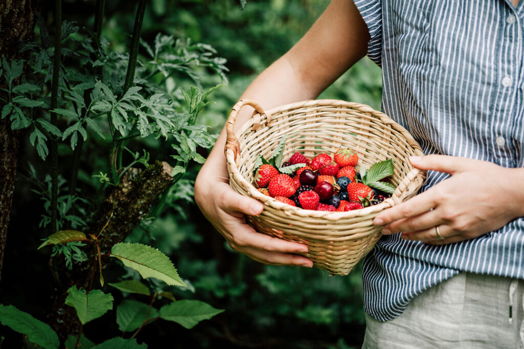 Woman collecting fresh berries