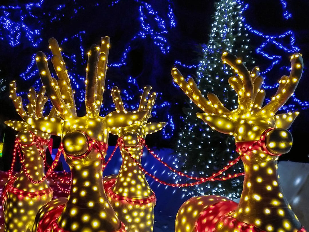 https://alignlife.com/wp-content/uploads/2022/11/AlignLife_Articles_Christmas-lights-of-reindeers_iStock-1087139568.jpg