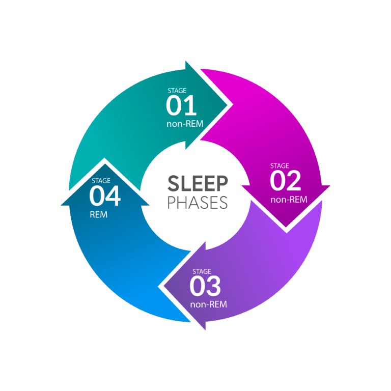 Sleep Cycles & Stages: What You Need to Know