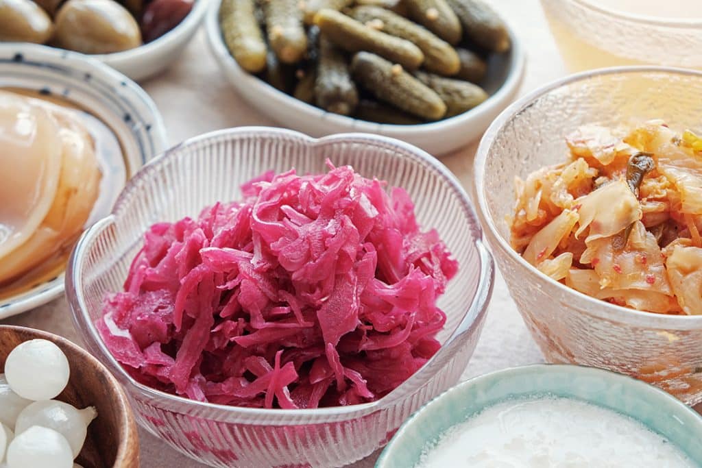 variety of fermented probiotic foods for gut health