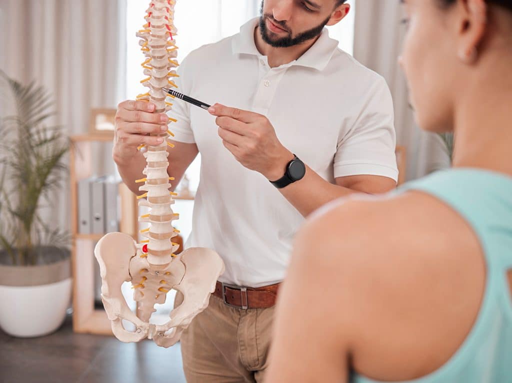 Chiropractor, spine and anatomy with a medical skeleton for advice and diagnosis of injury during p