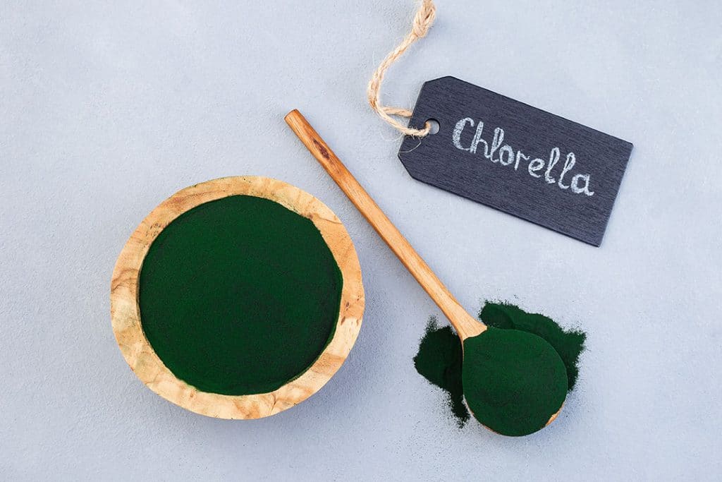 chlorella powder - green superfood