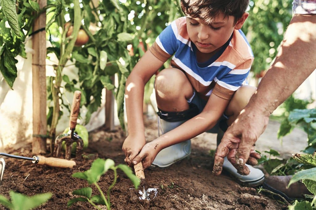 little boy planting seeds in vegetable garden - fun things to do with kids