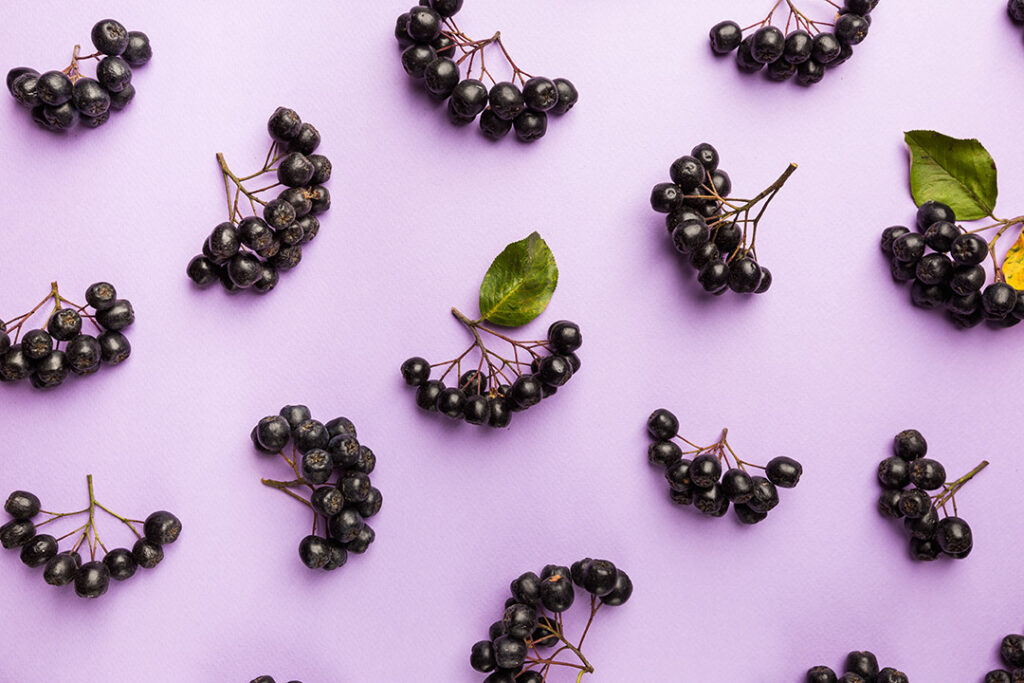 chokeberry, aronia berries. - immune boosting nutrients