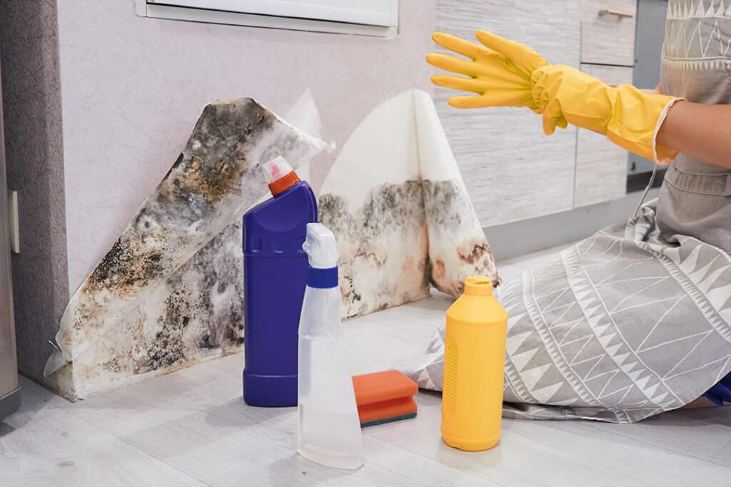 Hand With Glove Cleaning Mold From Wall With Sponge And Spray Bottle - Mold toxicity in home